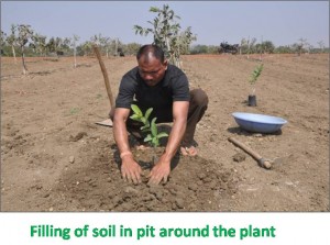 Soil Filling