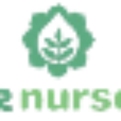 Site Icon