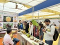 Krushi-Mela-NAU-Navsari-GJ-21-23-DEC-2024-2