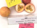 2.-VNR-Nursery-received-the-second-prize-in-the-Passion-Fruit-category-for-the-MAU-Purple-at-kisan-mela-organized-by-GBPUAT-UK-oct-2022