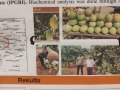 12-Team-VNR-Nursery-participated-in-the-Asian-Citrus-Congress-at-ICAR-CCRI-Nagpur-MH-Oct-20-6
