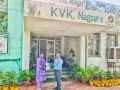 24-Dr.-Deepa-Lal-SMS-Horticulture-KVK-Nagpur-MH
