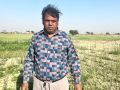 33.-Dr.-M.-Prasad-SMS-Animal-Husbandry-KVK-Farrukhabad-UP