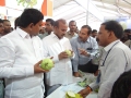 5.-Visit-of-Shree-Prathipati-Pulla-Rao-Minister-of-Agriculture-Shree-Chiranjiv-Choudhary-Commissioner-of-Horti.-@-VNR-Nursery-stall-2016