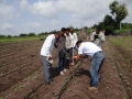 Field Day Ambegaon