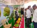 Global-Krishi-Mahotsav-KVK-Narayangaon-MH-9-12-Jan-2025-4
