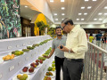 Mango-Festival-IGKV-Raipur-CG-29-31-May-2026-3