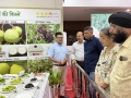 Mango-Festival-IGKV-Raipur-CG-6-to-9-June-2025-3