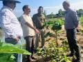 VNR-Bihi-Guava-Trial-@-College-of-horticulture-Nalbari-Assam-4