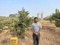 VNR-Bihi-Guava-Trial-@-UHS-Bagalkot-KA-2