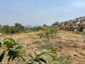 VNR-Bihi-Guava-Trial-at-Centurion-School-of-Technology-and-Management-Ganjam-OD-April-20-1