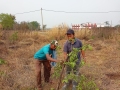 VNR-Bihi-Guava-Trial-at-Dept.-of-Horticulture-Koksara-Kalahandi-OD-Jan-2021-3