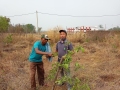 VNR-Bihi-Guava-Trial-at-Dept.-of-Horticulture-Koksara-Kalahandi-OD-Jan-2021-4