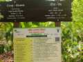 VNR-Bihi-Guava-Trial-at-KVK-Baramati-MH-2023-1