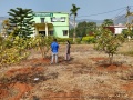 VNR-Bihi-Guava-Trial-at-KVK-Deogarh-OD-Jan-2022-3