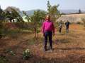 VNR-Bihi-Guava-Trial-at-KVK-Dhenkanal-OD-Feb-2021-3