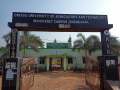 VNR-Bihi-Guava-Trial-at-KVK-Dhenkanal-OD-Feb-2021-4