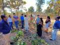 VNR-Bihi-Guava-Trial-at-KVK-Sundargarh-OD-Feb-2021-5