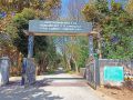 VNR-Bihi-Guava-Trial-at-KVK-Sundargarh-OD-Feb-2021-6