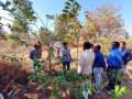VNR-Bihi-Guava-Trial-at-KVK-Sundargarh-OD-Feb-2021-7