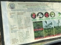 VNR-Bihi-Guava-Trial-at-NDUAT-Kumarganj-Ayodhya-UP-Nov-2023-1