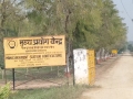 VNR-Bihi-Guava-Trial-at-NDUAT-Kumarganj-Ayodhya-UP-Nov-2023-4