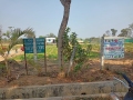 VNR-Bihi-Guava-Trial-at-OUAT-Baramunda-Bhubaneswar-OD-Feb-2021-1