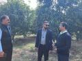 VNR-Bihi-Guava-Trial-at-OUAT-College-of-Horticulture-Chiplima-Sambalpur-OD-4