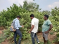 VNR-Bihi-Guava-Trial-at-PJTSAU-Hyderabad-TS-April-2022-2