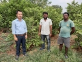 VNR-Bihi-Guava-Trial-at-PJTSAU-Hyderabad-TS-April-2022-3