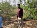VNR-Bihi-Guava-Trial-at-RMDCARS-IGKV-Sarguja-CG-27-Mar-2024-2