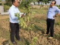 VNR-Bihi-Guava-Trial-at-Seacom-Skills-Uni.-SSU-Birbhum-WB-Nov-2023-3