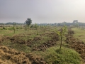 VNR-Bihi-Guava-Trial-at-Seacom-Skills-Uni.-SSU-Birbhum-WB-Nov-2023-7