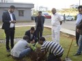 VNR-Bihi-Guava-Trial-at-The-Deputy-Director-Horticulture-Agartala-Tripura-2021-1