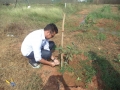 KVK YSR Horticulture