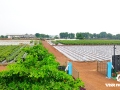 Rootstock-Open-Area