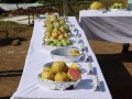 VNR-Uttam-Crop-Show-at-Gomchi-CG-28-Nov-2020-2